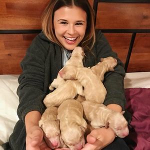 Meet your Posher, Peyton